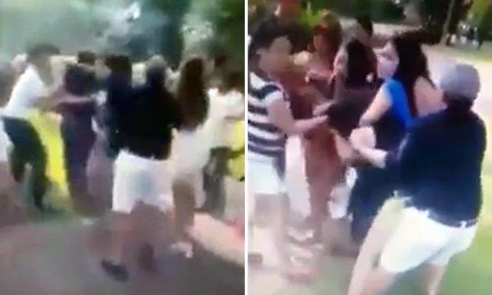 Weekend picnic at Tiong Bahru descends into chaos after fight breaks out