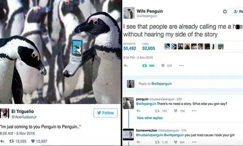 Hilarious memes and tweets: Twitter is losing it over heartbreaking penguin cheating drama in viral video