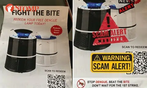 'Free dengue lamp' flier not from NEA, but is it a scam?