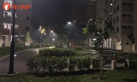 Smoky chemical smell in various parts of S'pore traced to industrial facility in Pasir Gudang, Johor