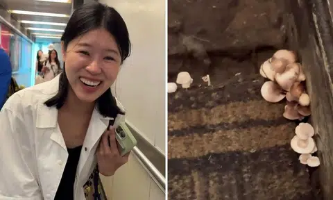 taiwanese influencer spots mushrooms growing on changi airport air bridge
