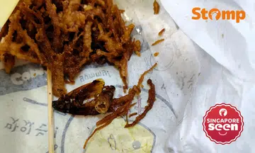 Woman finds cockroach remains in her enoki mushrooms from Bugis Street, fried chicken stall apologises