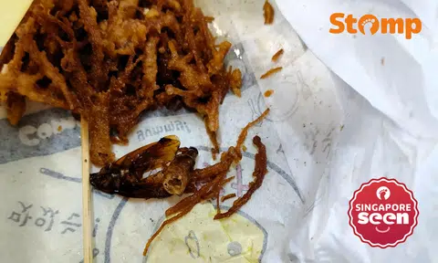 Woman finds cockroach remains in her enoki mushrooms from Bugis Street, fried chicken stall apologises
