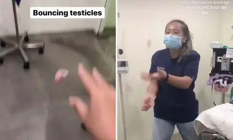 Pasir Ris vet clinic suspends nurses who posted videos of them bouncing and juggling dog's testicles
