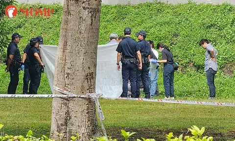 29-year-old woman found dead on grass patch at Clemenceau Avenue