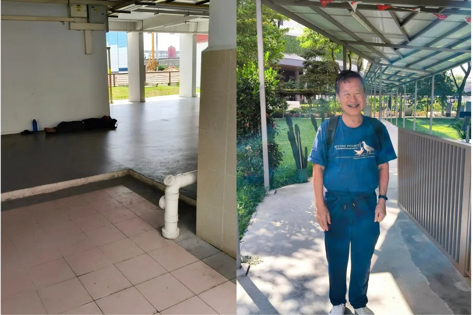 Tan Kin Lian's post on a resting foreign worker has drawn flak