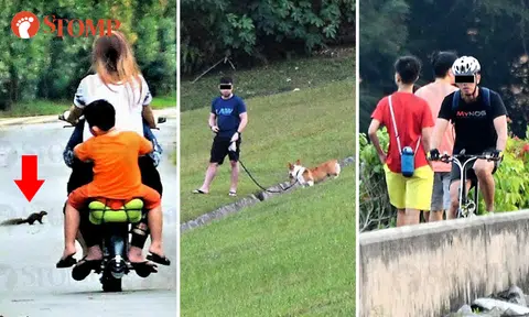 Pet dogs, cyclists and trio on e-bike that nearly ran over squirrel spoil man's visit to nature reserves