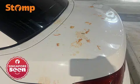 Food scraps thrown on BMW car in Hougang