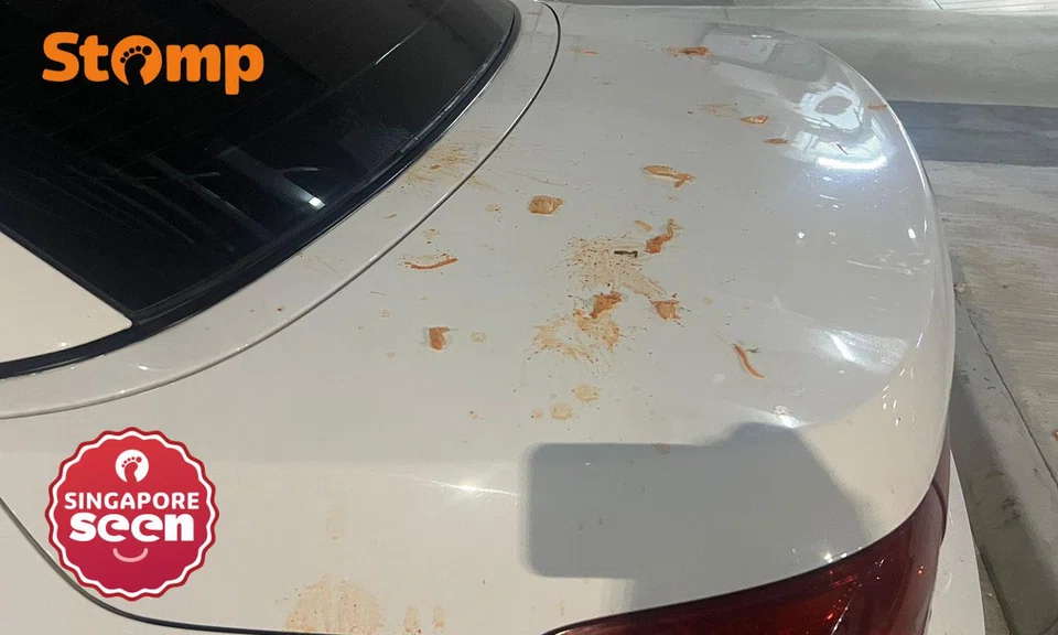Food scraps thrown on BMW car in Hougang