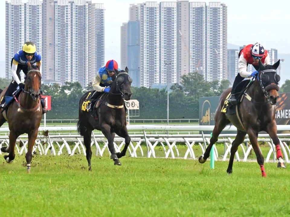 Arigato finishing well clear of Dancing Supremo in a barrier trial at Sungai Besi on Feb 18. They both had senior track riders aboard. Third-placed Bransom was ridden by Laercio de Souza (red and blue cap).
