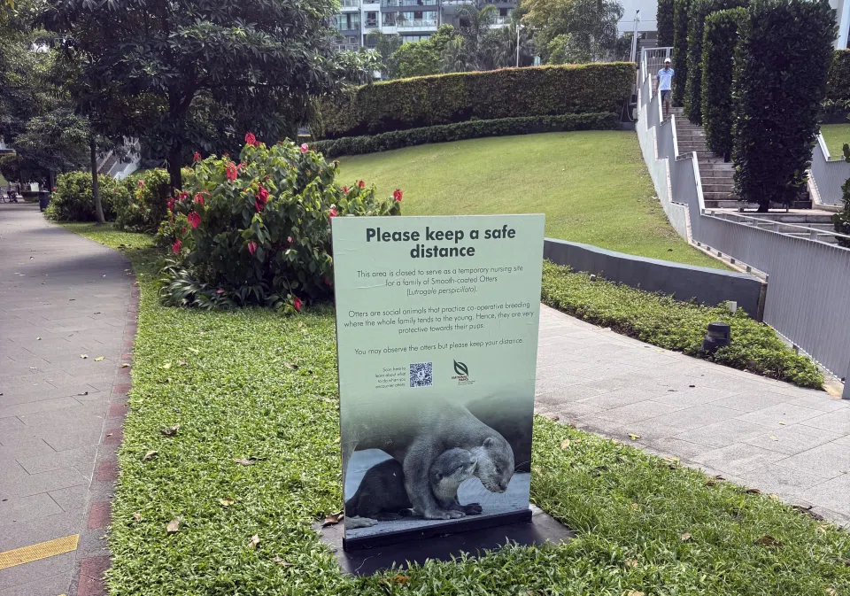 The incident happened near Jiak Kim Bridge in Robertson Quay.