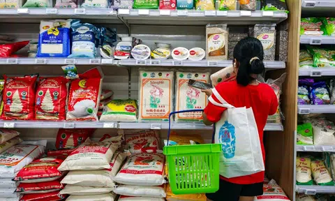 Singapore must ensure access to essential food types: Grace Fu