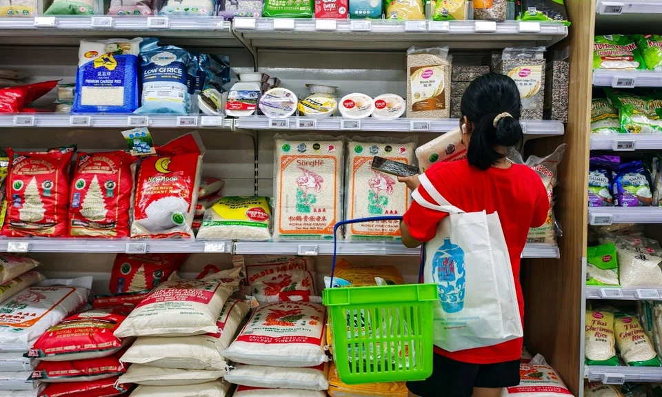 Singapore must ensure access to essential food types: Grace Fu