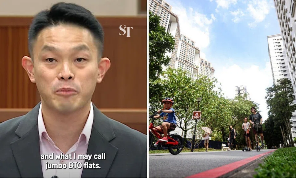 BTO david hoe
