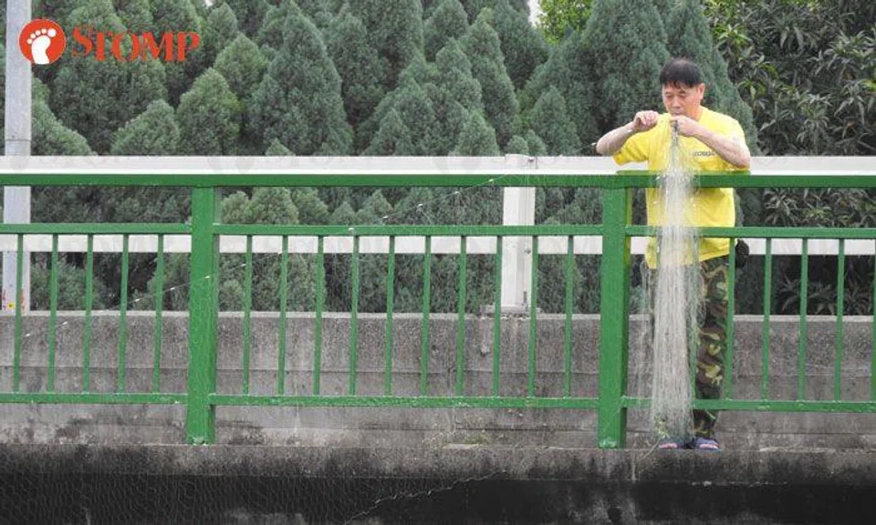 Is it legal to fish here? Men cast fishing nets into Kallang River