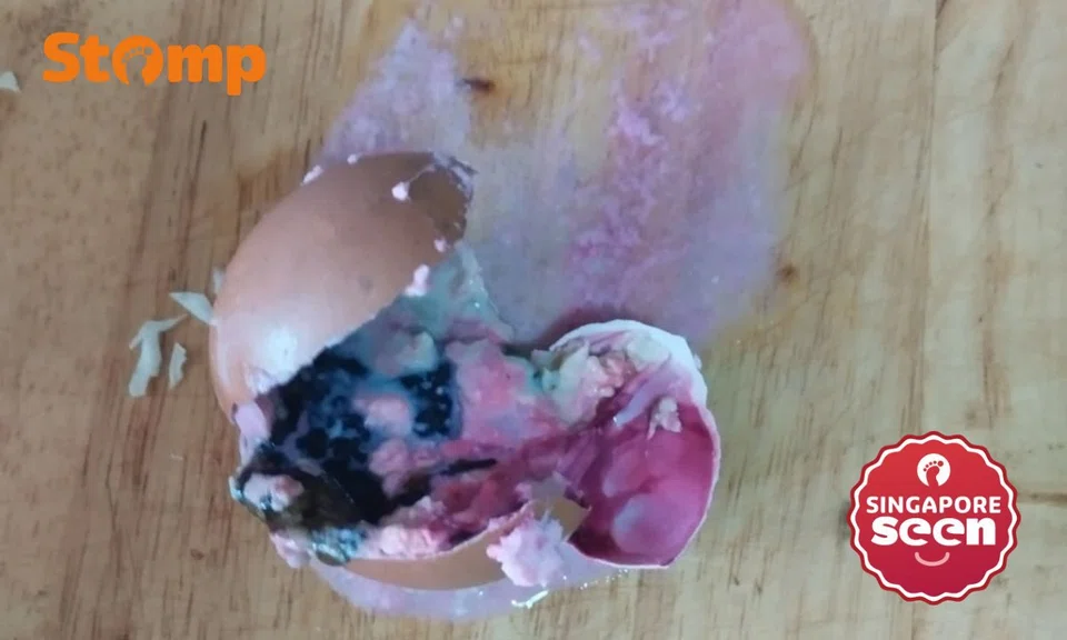 Stomper horrified by greenish pink egg from Bukit Panjang shop, SFA finds no food safety lapses