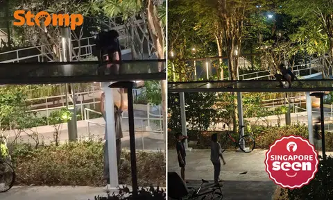 Police called after youths climb roof of sheltered walkway in West Coast