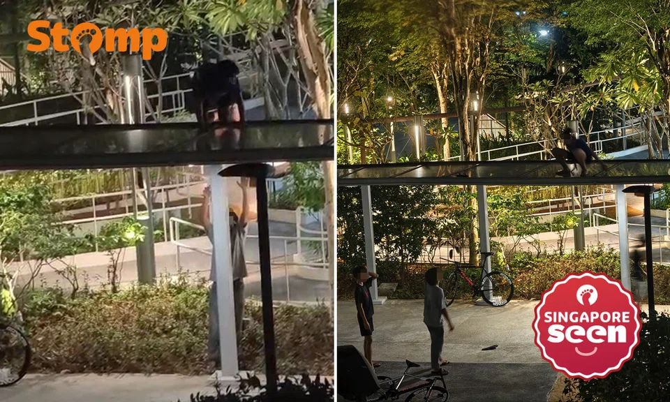 Police called after youths climb roof of sheltered walkway in West Coast