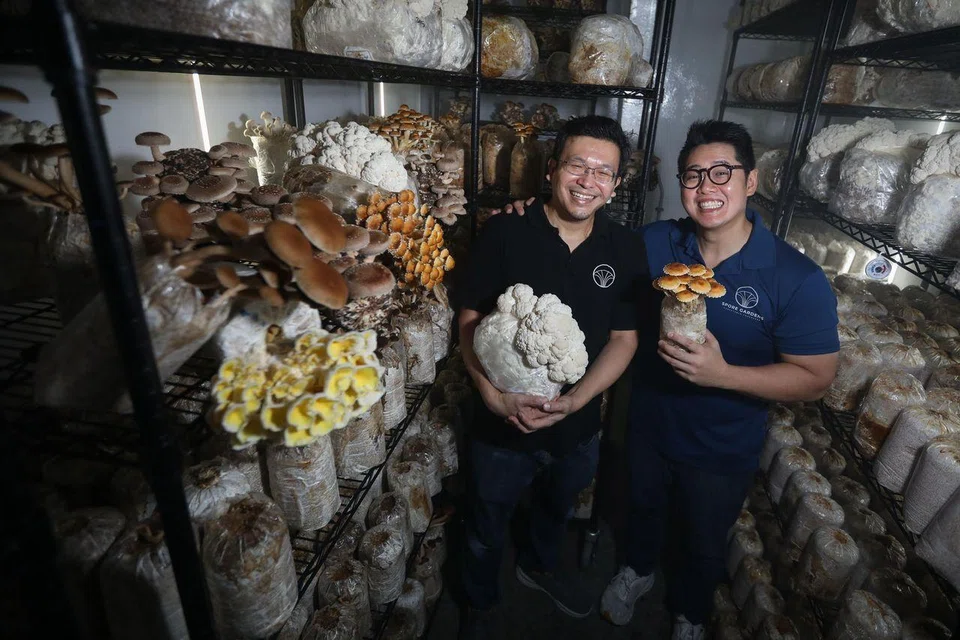 Mr John Ong met his business partner, Mr Fred Soh, about eight months after he founded Spore Gardens.