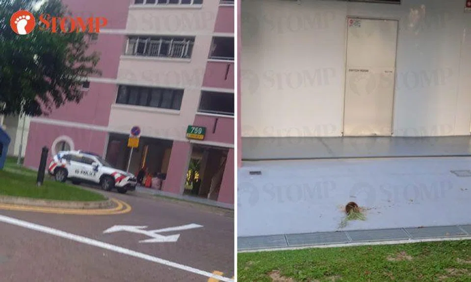 Resident calls police after flower pot smashes to ground at Pasir Ris