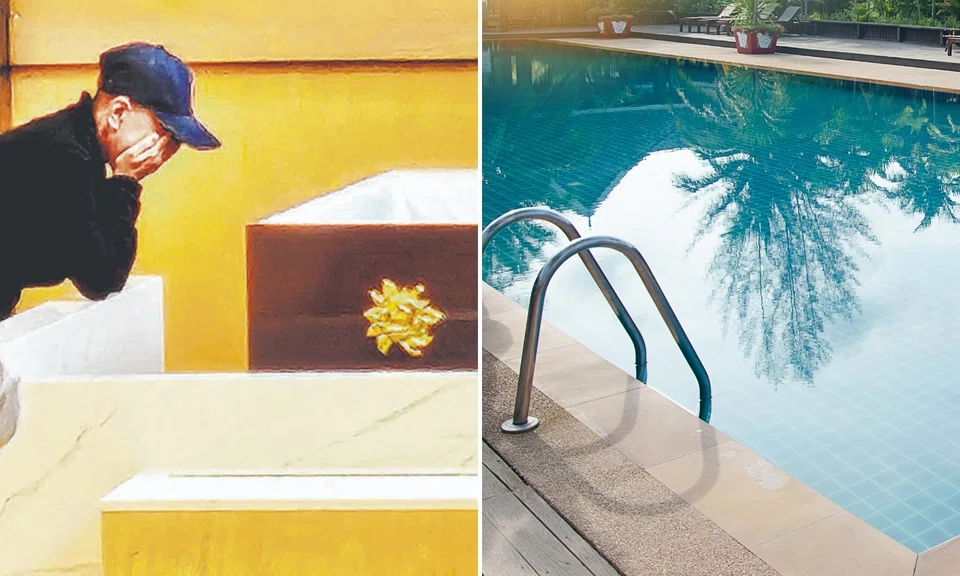 Grab delivery rider, 64, dies after falling into Tanah Merah condo pool