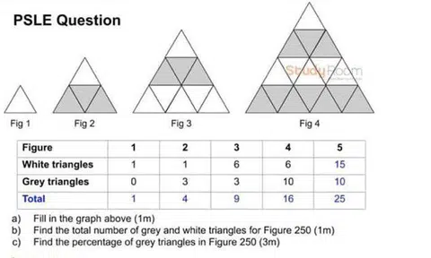 Some questions from the second section, known as Paper 2, were exceptionally difficult, according to parents The Straits Times spoke to. PHOTOS: COURTESY OF STUDY ROOM/KIASUPARENTS FORUM