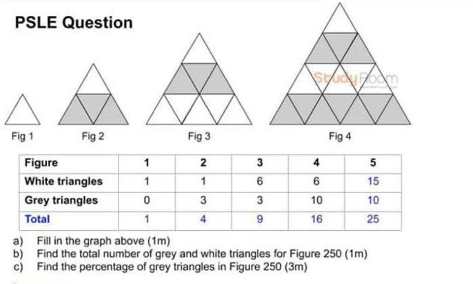 Some questions from the second section, known as Paper 2, were exceptionally difficult, according to parents The Straits Times spoke to. PHOTOS: COURTESY OF STUDY ROOM/KIASUPARENTS FORUM