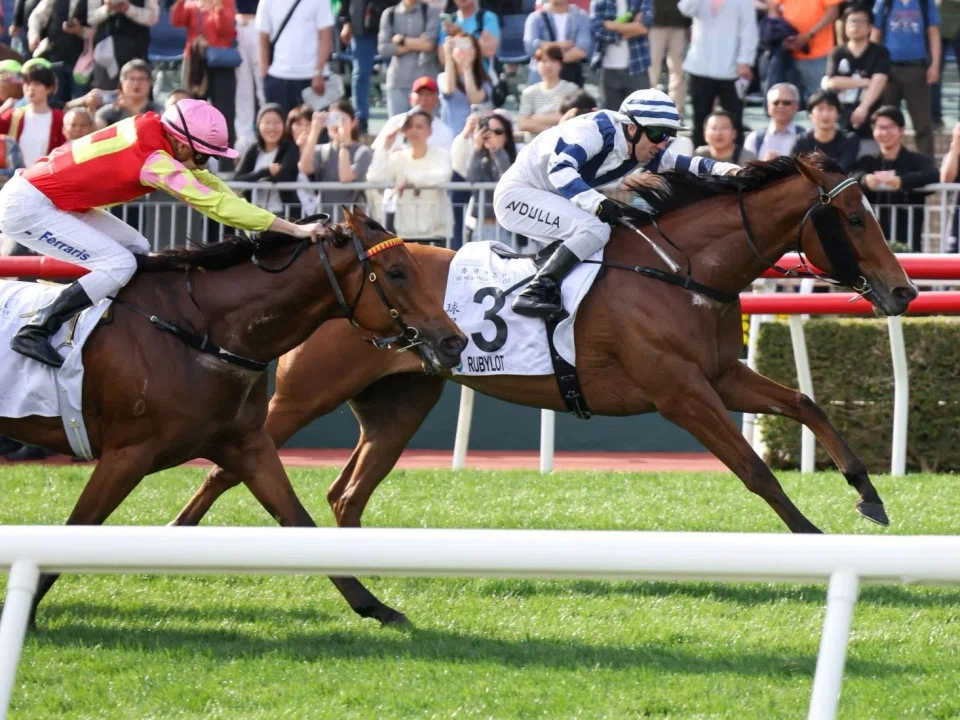 Rubylot (Brenton Avdulla) storming home on the outside to deny My Wish (Luke Ferraris) by 3/4 length in the Hong Kong Classic Cup (1,800m) at Sha Tin on March 2.
