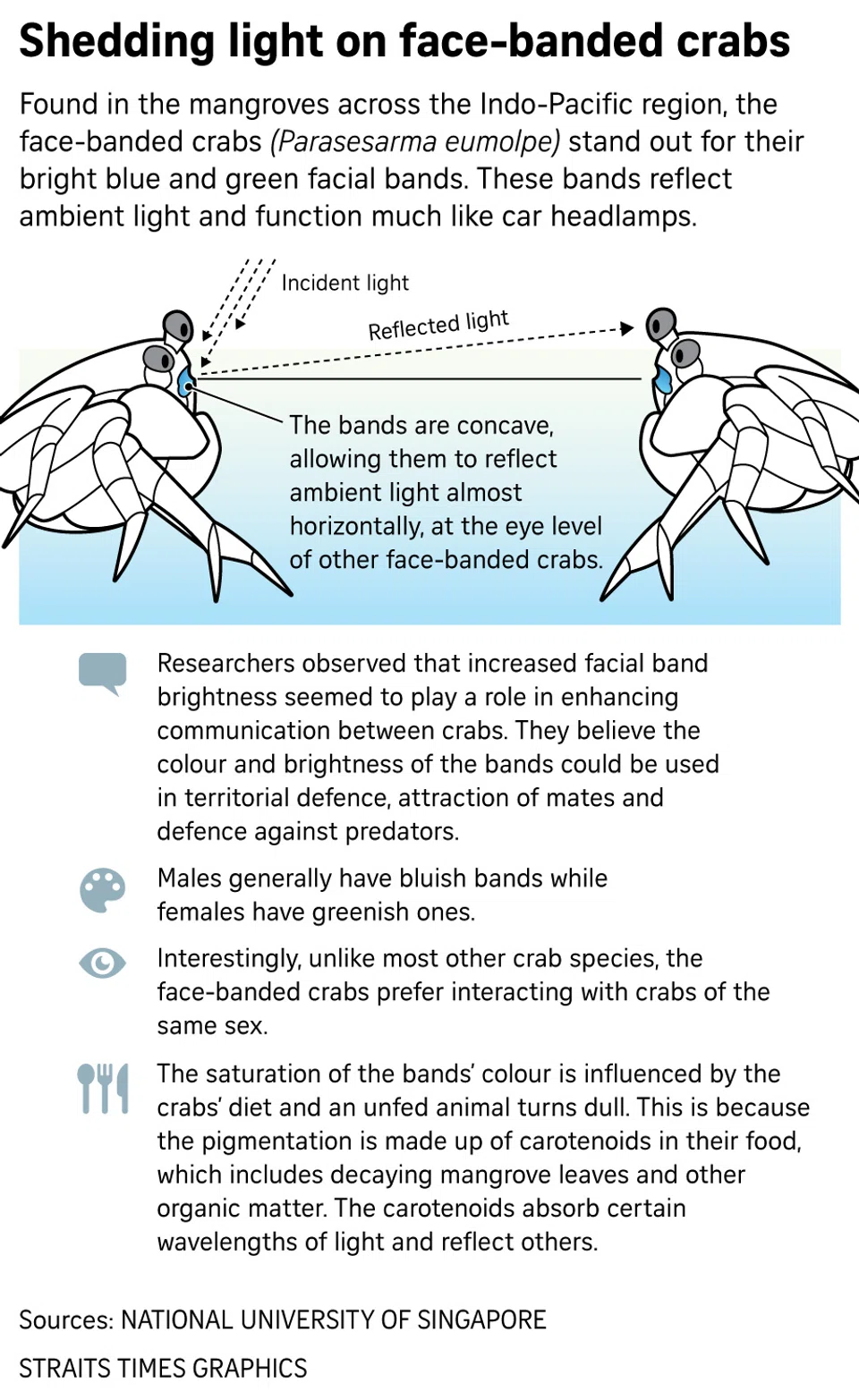 FILE PHOTO: The New Paper