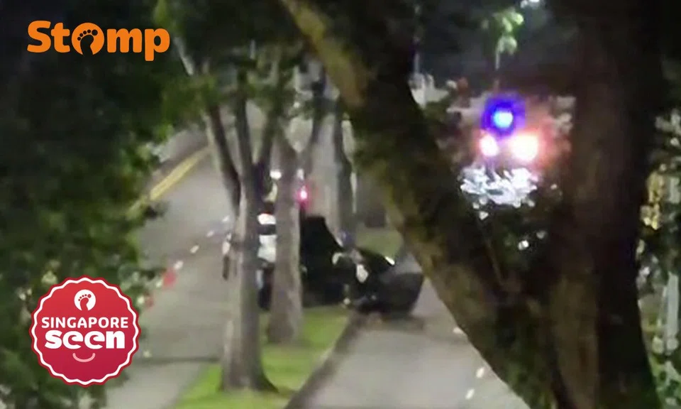 Jaguar driver dies after crashing into tree in Clementi