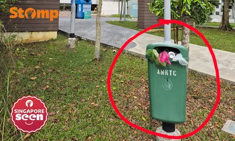 fernvale dustbin