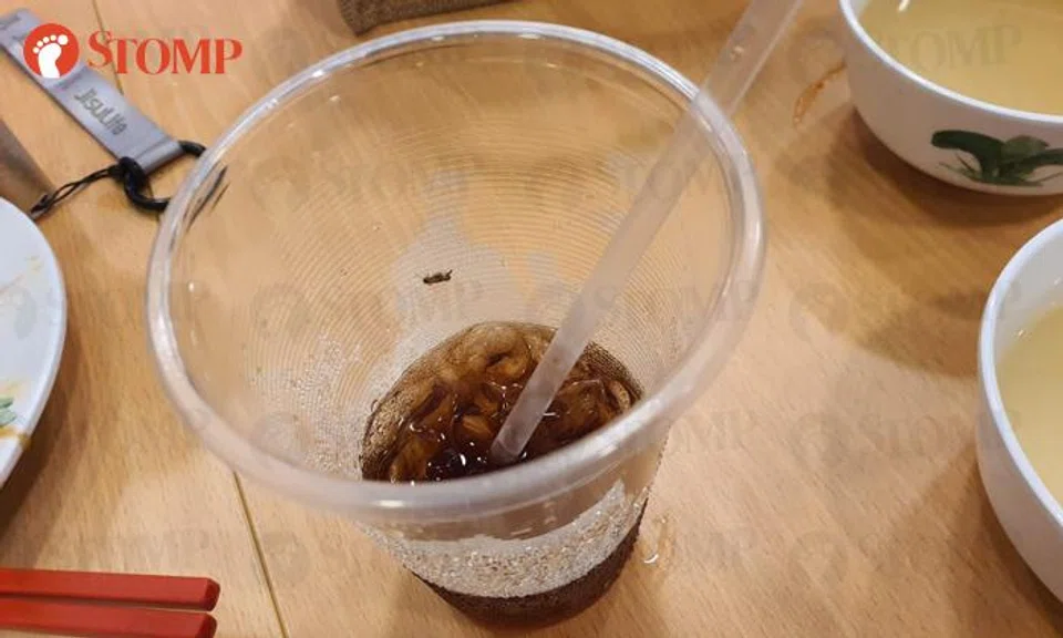 insect in drink