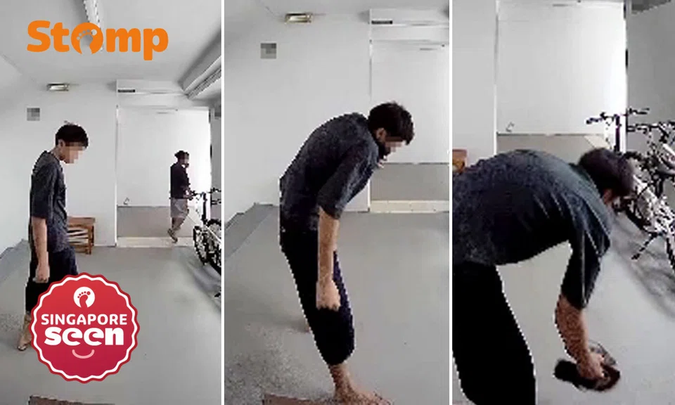 Punggol theft, doorbell camera, youth crime