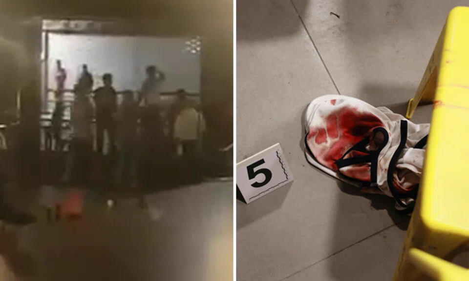 Photos: Shin Min Daily News