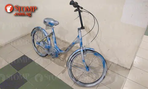 Blue ofo bike rolled out by vandals in Bukit Panjang
