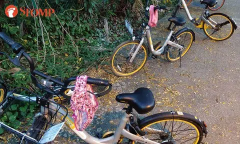 Are people using underwear to 'chope' shared bikes now or is this a prank?