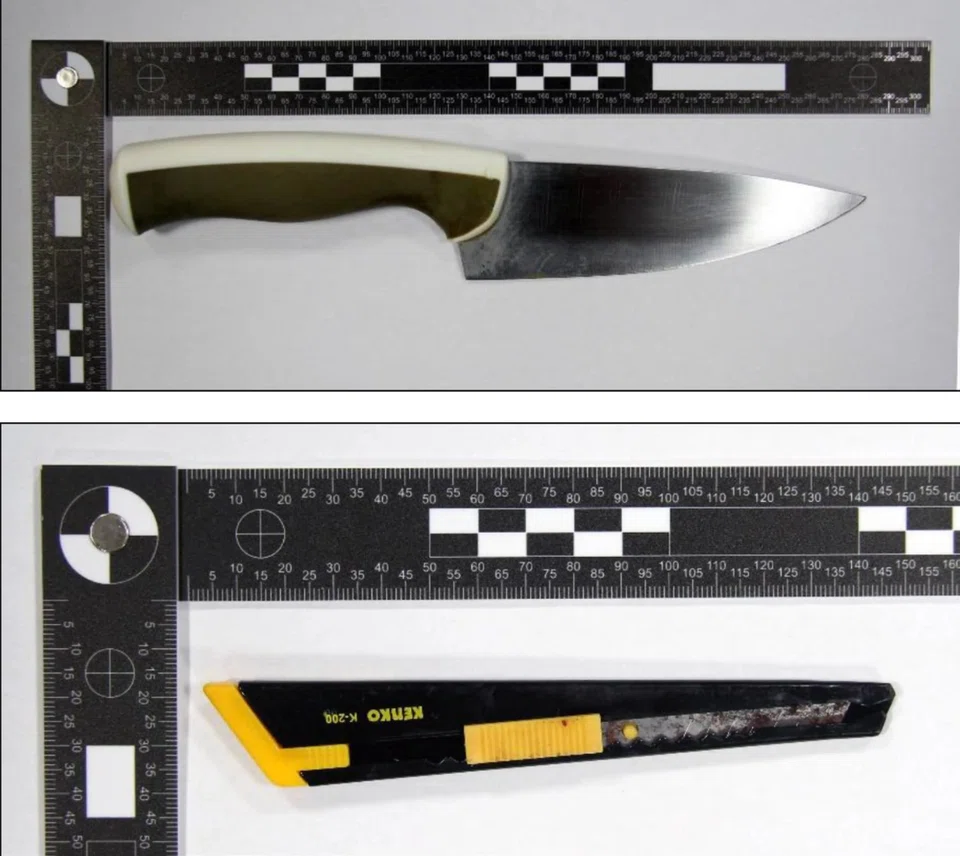 Internal Security Act, youth radicalisation, school stabbing plot