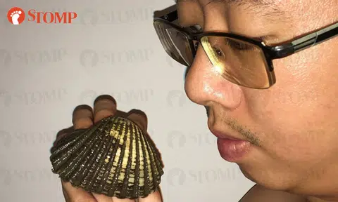 Lau Lup strikes gold after finding this 'treasure' in hawker centre cockles