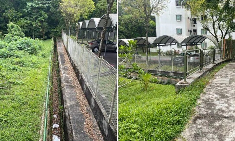 Drunk British PhD student died when he fell into storm drain after climbing fence in Pasir PanjangCCTV footage showed him trying to scale the fence near 13A Zehnder Road, in Pasir Panjang, twice. Photos: The Straits Times
