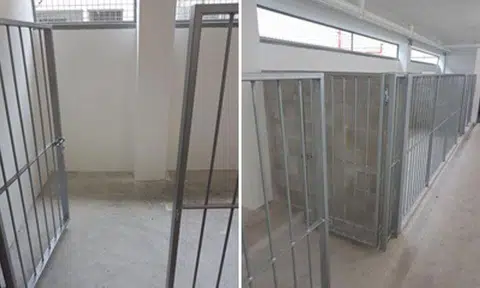 Animal Lovers League appealing for funds to improve new shelter at Sungei Tengah