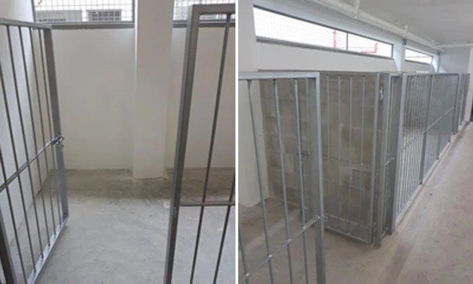 Animal Lovers League appealing for funds to improve new shelter at Sungei Tengah