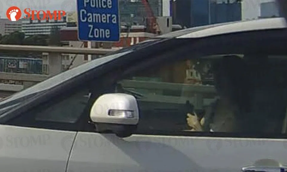 woman using phone while driving