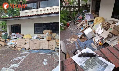 Rats, mosquitoes and mess: West Coast residents frustrated with neighbour's hoarding of rubbish