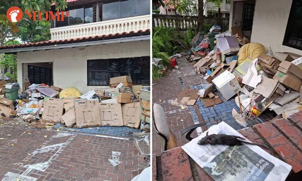 Rats, mosquitoes and mess: West Coast residents frustrated with neighbour's hoarding of rubbish