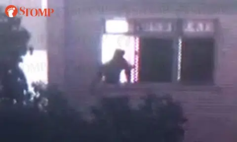 Yishun Block 726 resident uses slingshot to fling rocks at birds