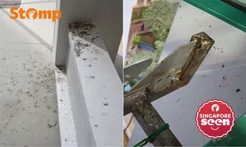 bird droppings on aircon ledge in Sembawang