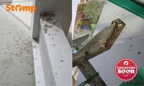 bird droppings on aircon ledge in Sembawang