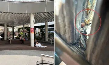 A man reported getting bitten by bugs when he sat on an outdoor canopy beside Ang Mo Kio Hub on March 29.