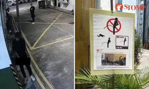 Men caught peeing at Petain Road -- ignoring warning sign featuring earlier Stomp report