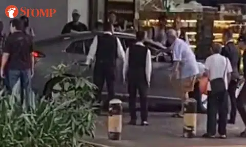 How did driver end up 'stranded' on pedestrian walkway at V Hotel Lavender?